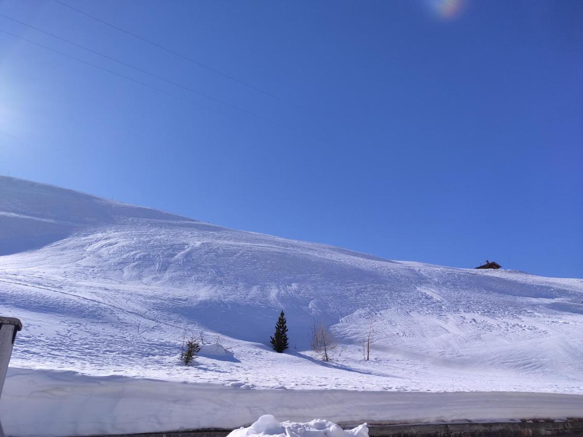 Black Lake Studios - Trepalle Livigno Eksteriør bilde